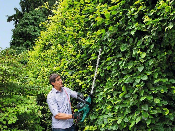 Immagine prodotto Bosch Home & Garden Taglio avanzato della siepe (Tagliasiepi a batteria)