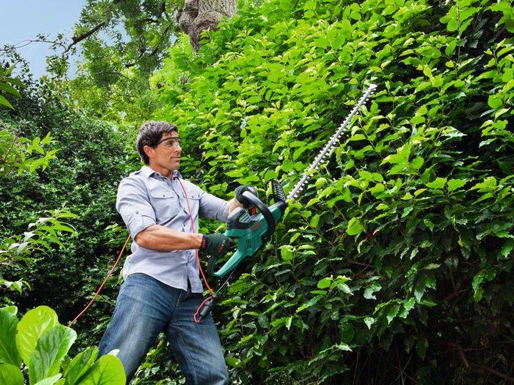 Immagine prodotto Bosch Home & Garden Taglio avanzato della siepe (Tagliasiepi a batteria)