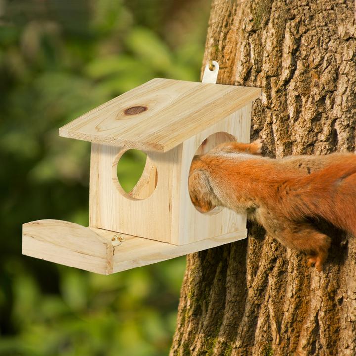 Produktbild Relaxdays Eichhörnchen Futterhaus