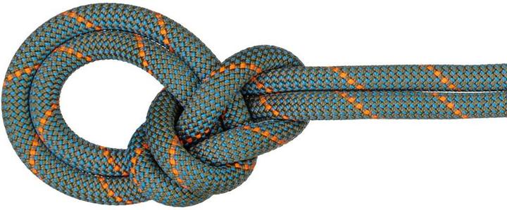 Mammut 9.9 Crag Workhorse Dry Kletterseil (70 m)