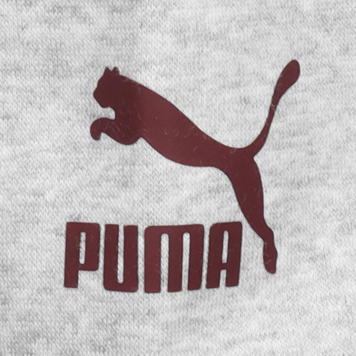 Immagine prodotto Puma Felpa con cappuccio della squadra FL (S)