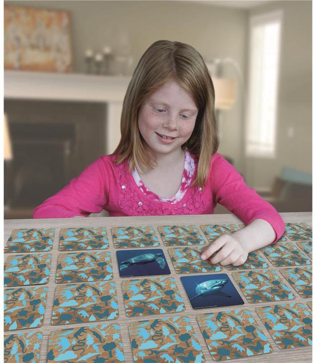 Actual product image Merchant Ambassador Memo underwater (German)