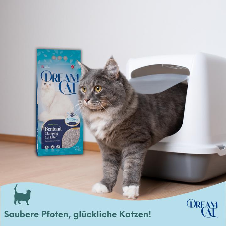 Actual product image Dream Cat Cat Litter with Baby Powder Scent - Fine Clumping Litter Made from Bentonite, 5L (Clumping, 4.25 kg)