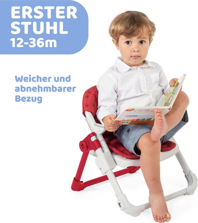 Actual product image Chicco Chairy (Highchair)