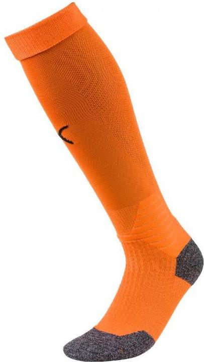 Actual product image Puma Team LIGA Socks-703438 (47, 49)