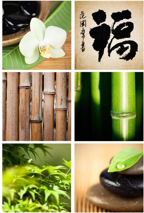 Actual product image Trenddeko Tile decoration Asia Spa (6 x 15 x 15 cm)
