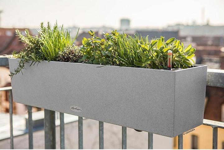 Immagine prodotto Lechuza Balconera (19 cm)