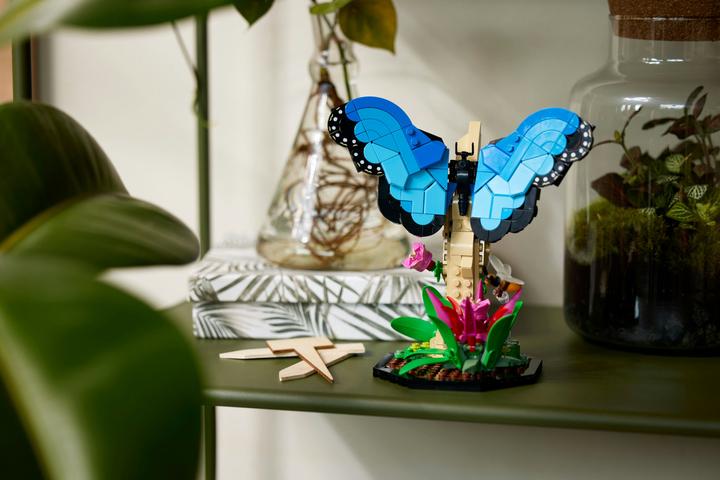 Immagine prodotto LEGO Idee La collezione di insetti (21342, LEGO Ideas)