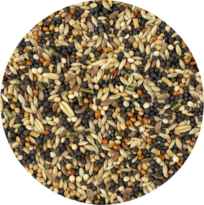 Actual product image Vitakraft Vita menu for canaries (1 x, 1 kg)