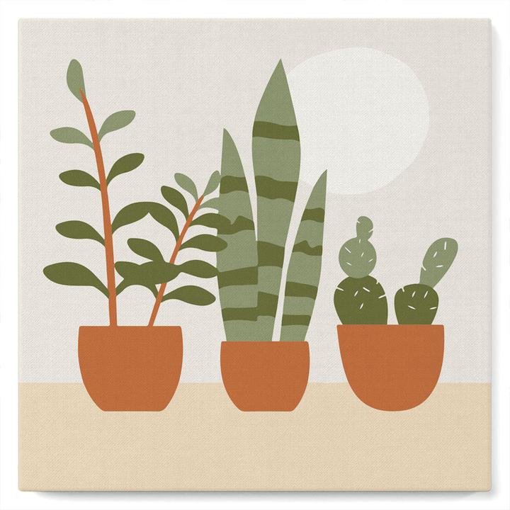 Image du produit Figured'Art Mini Peinture par Numéros avec Cadre - Plantes grasses