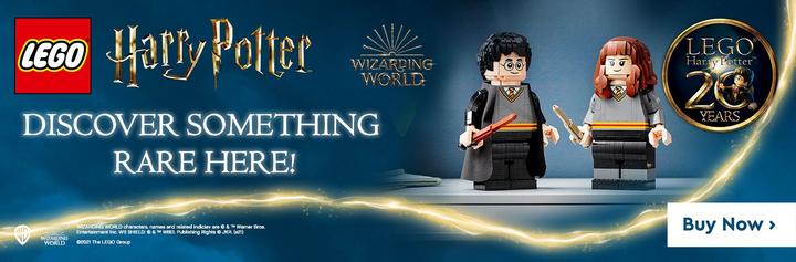 Immagine prodotto LEGO Harry Potter & Hermine Granger (76393, LEGO Harry Potter, Set LEGO rari)