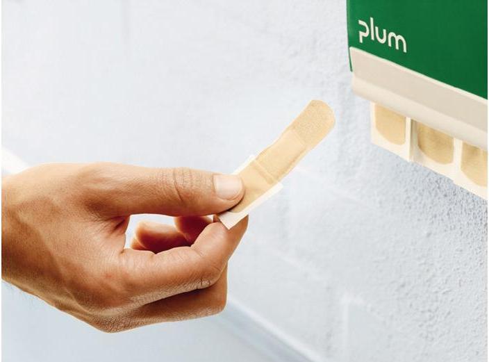 Actual product image Plum Plaster dispenser (W x H x D) 23 (1 x)
