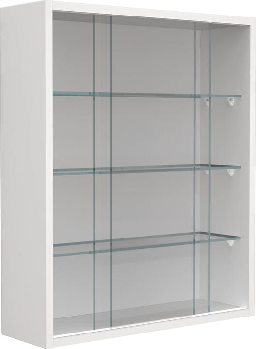 Actual product image VCM Hängevitrine Wandvitrine Glas Drivalo M (60 x 50 x 15 cm)