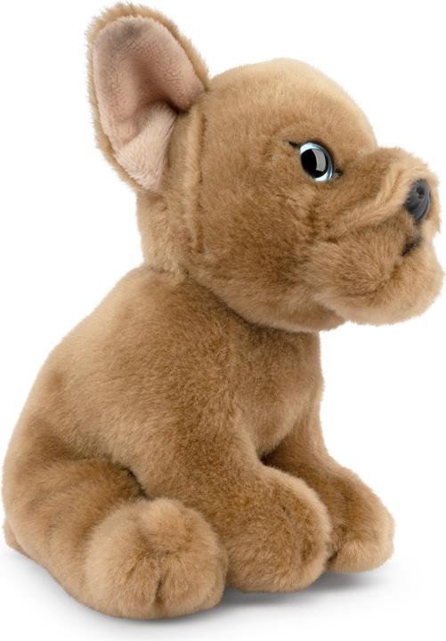 Produktbild Living Nature Französische Bulldogge Welpe beige (17 cm)
