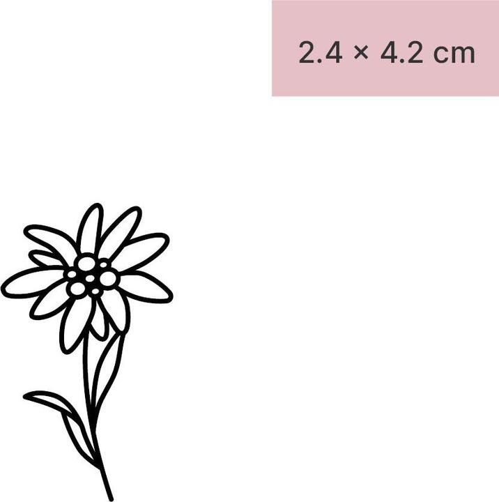 Immagine prodotto minink Tatuaggio temporaneo - Fiore di stella alpina