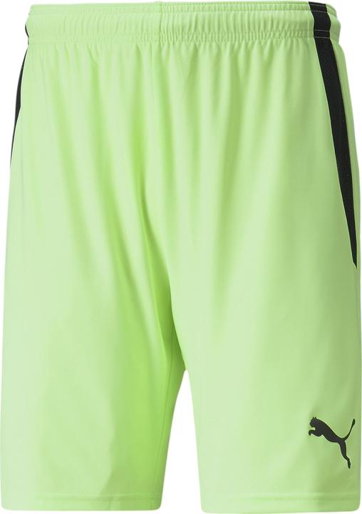 Actual product image Puma teamLIGA shorts (M)