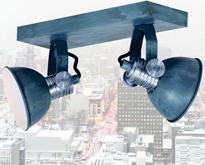Image du produit Steinhauer Brooklyn (480 lm, GU10)
