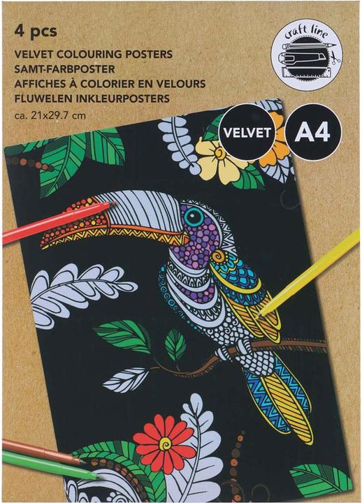 Immagine prodotto Craft Poster per il termine di ricerca: "colori di velluto"