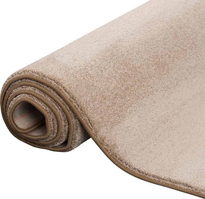 Produktbild Snapstyle Hochflor Luxus Velours Teppich Touch (80 x 320 cm)