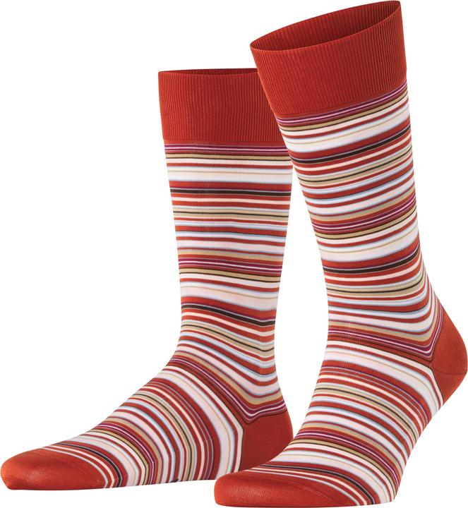 Falke Microblock Herren