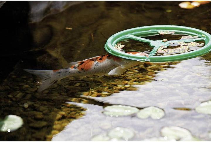 Actual product image Pontec PondoFeed Ring