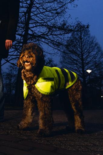 Produktbild Beeztees Bz Sg Hundemantel Teddie Refle (L, Hundemantel)