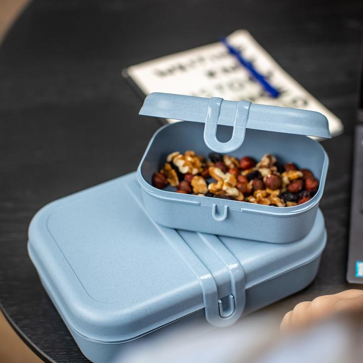 Actual product image Koziol Lunchbox Pascal S Green
