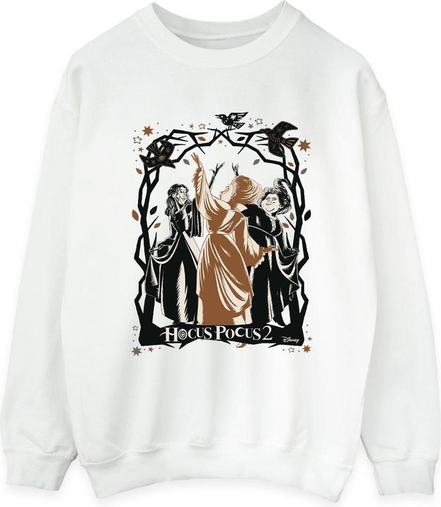Actual product image Disney Womens/Ladies Hocus Pocus Birds Sweatshirt (XL)