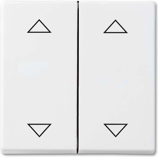 Immagine prodotto Busch-Jaeger Bilanciere, pulsante cieco 2CKA001751A3099