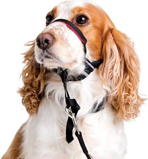 Immagine prodotto Company of Animals Halti Optifit Kopfgeschirr (S, Cane)