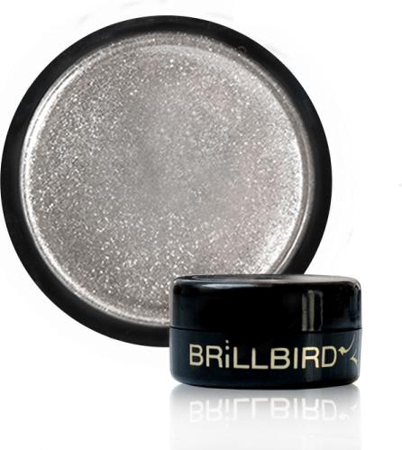 Actual product image BrillBird Pigment Chrome Silver