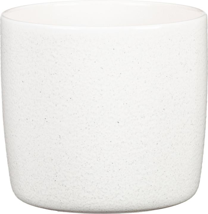 Actual product image Scheurich Flowerpot Perla 19.3 cm, White (21.20 cm)