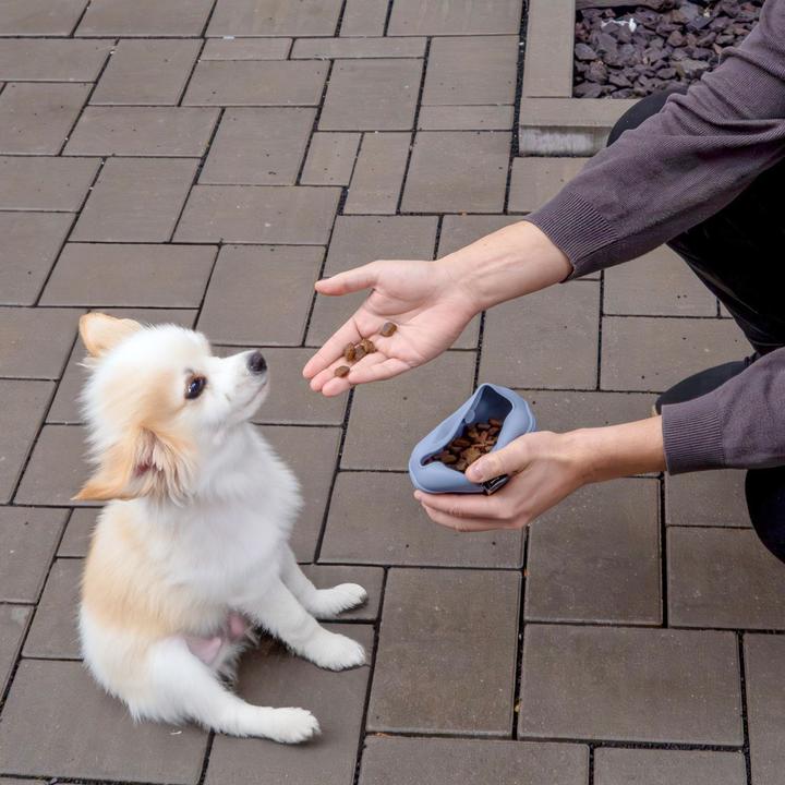 Immagine prodotto Intirilife Set per cani blu: sacchetto per dolcetti in silicone e biberon (Taglia unica)