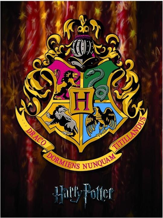 Produktbild Gerahmter Leinwanddruck Hogwarts Wappen (50 x 40 cm)