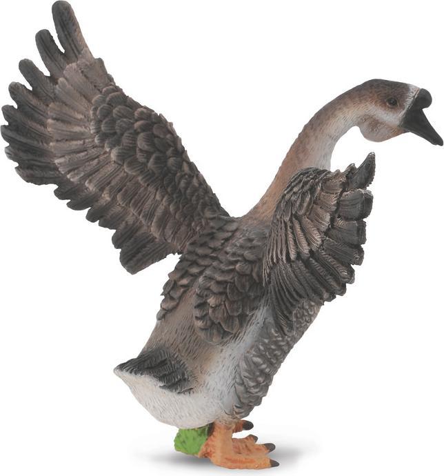 Immagine prodotto Collecta GÄNSERICH (M)