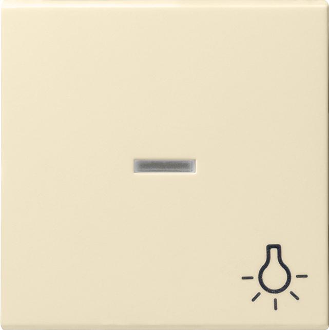Immagine prodotto Gira 067401 Piastra a muro/coperchio interruttore bianco