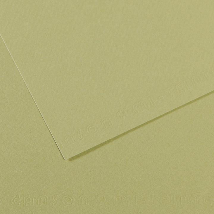 Produktbild Canson Zeichenpapier Mi-Teintes, hellgrün (160 g/m²)