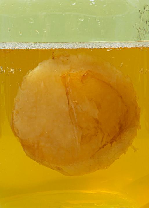 Immagine prodotto KoRo Scoby di kombucha (1 x 20 cl)