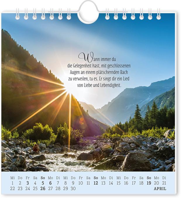 Produktbild Postkartenkalender 2026 Lebenszeichen (16 x 17 cm, Deutsch)