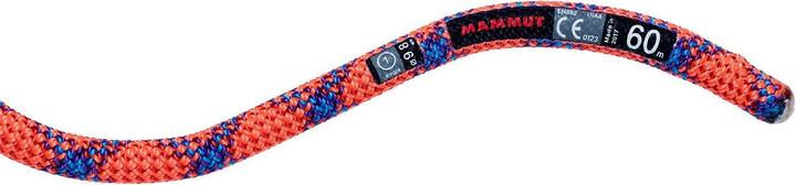 Image du produit Mammut Eternity Protect 9.8 Corde d'escalade (50 m)