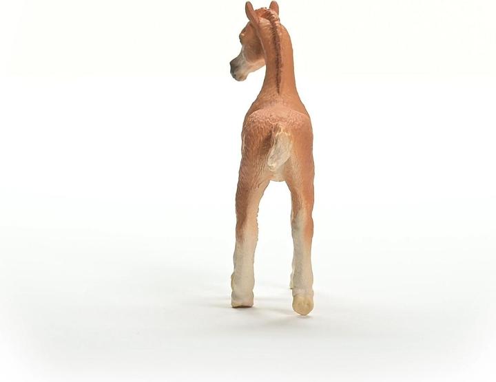 Image du produit Schleich Poulain arabe