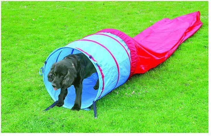 Immagine prodotto Pawise Tunnel Agility 5m Ø60Cm - (636.9006)