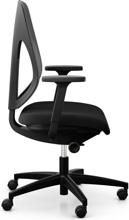 Actual product image Giroflex 353 Netzrücken mit Armlehnen XTREME