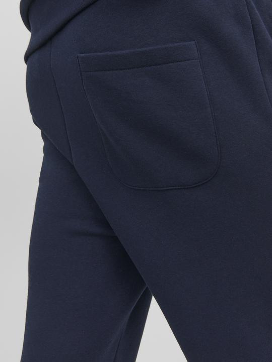 Actual product image Jack & Jones Gordon Bradley Sweatpants (M)