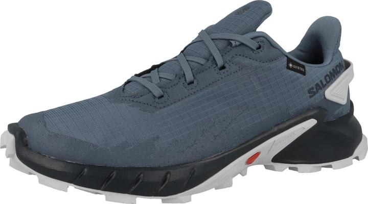 Produktbild Salomon Alphacross 4 GTX (46)