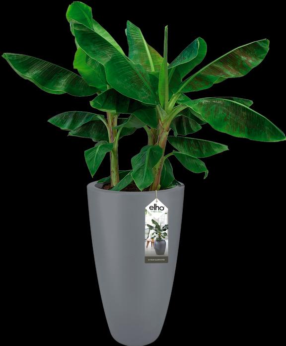 Produktbild Elho Pure Soft (39 cm)