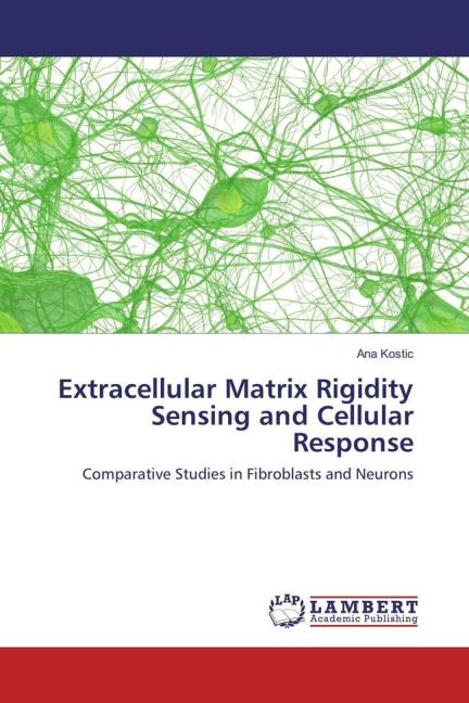 Produktbild Extracellular Matrix Rigidity Sensing and Cellular Response (Ana Kostic, 2016)