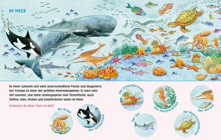 Image du produit Livre d'images Baby Pixi HB23 (Allemand)