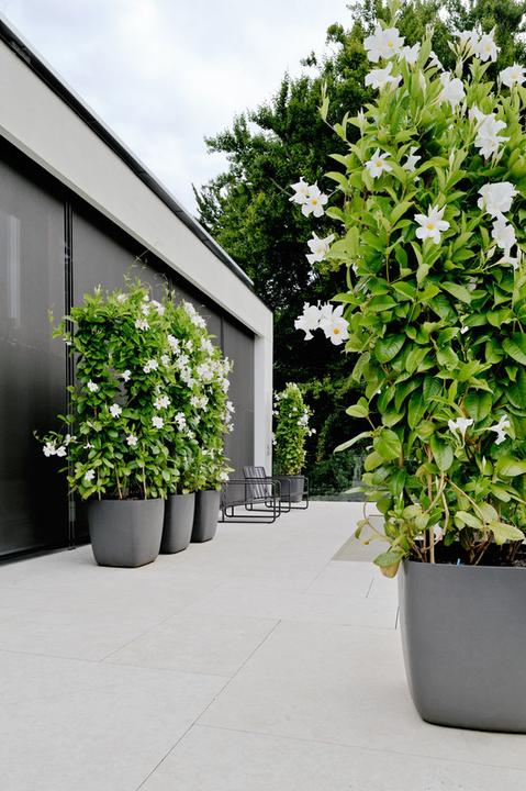 Produktbild Eternit Osaka (70 cm)