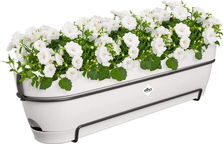 Produktbild Elho Vibia Campana Allin1 (26 cm)